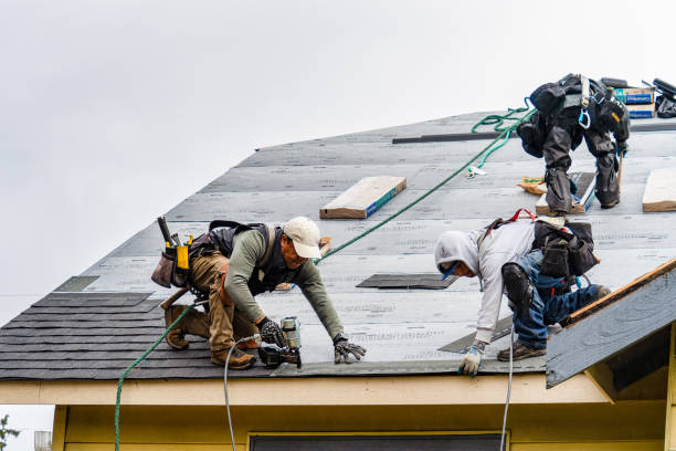 Professional Emergency Roof Repair technician working in Breezy Point, MN